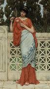 John William Godward He Loves Me, He Loves Me Not painting